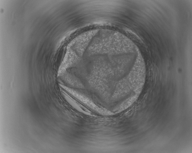 X0000076100776200610152342