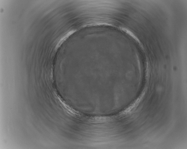 X0000076100777200610152342