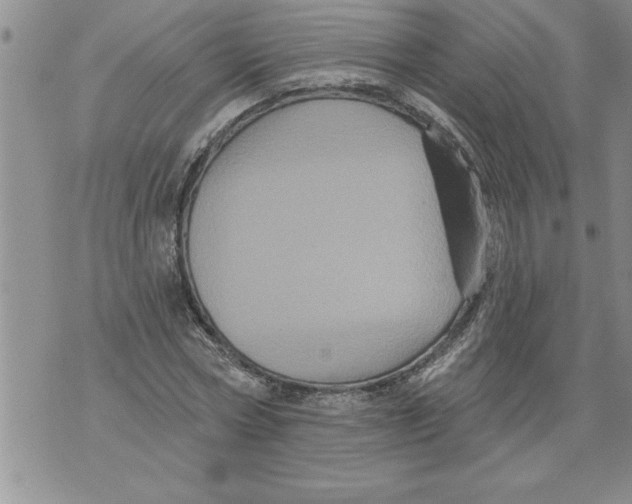 X0000076100778200610152342