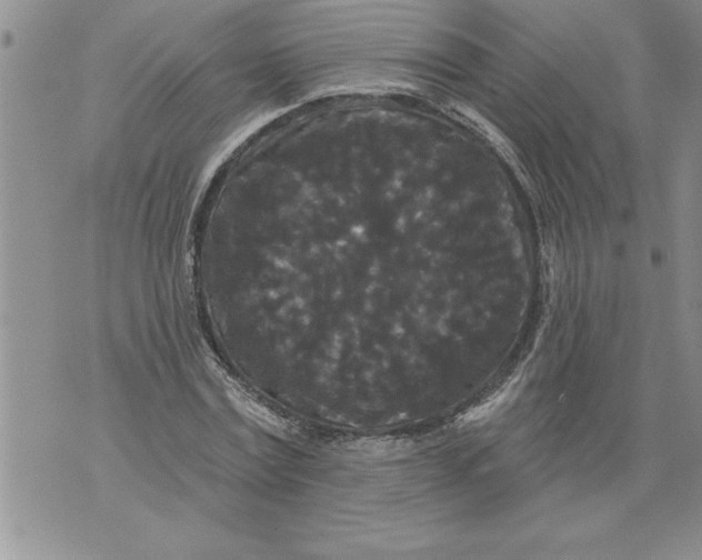 X0000076100779200610152342