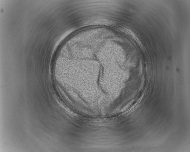 X0000076100780200610152342