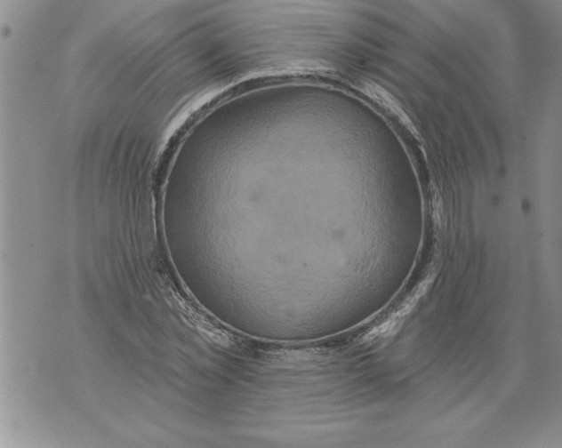 X0000076100781200610152342