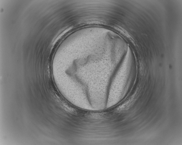 X0000076100782200610152342