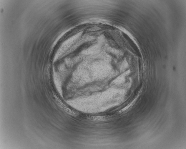 X0000076100783200610152342