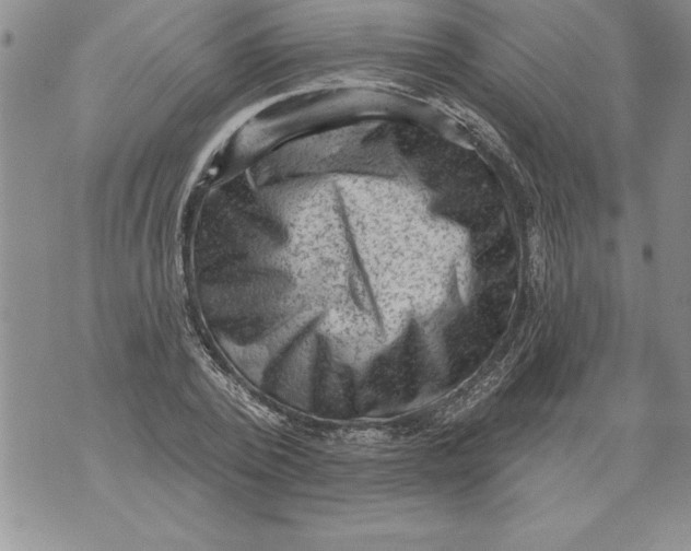 X0000076100784200610152342