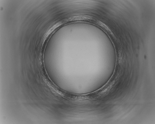 X0000076100786200610152342