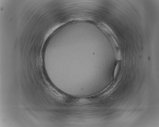 X0000076100787200610152342