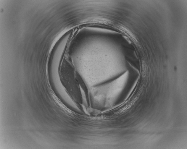 X0000076100788200610152342