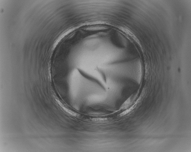 X0000076100789200610152342