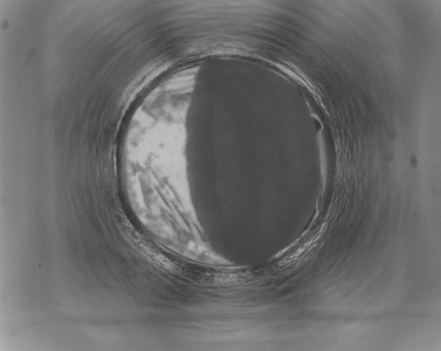 X0000076100790200610152342