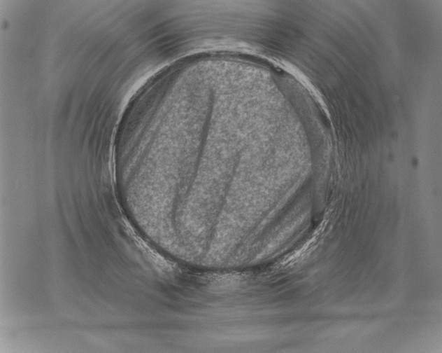 X0000076100791200610152342