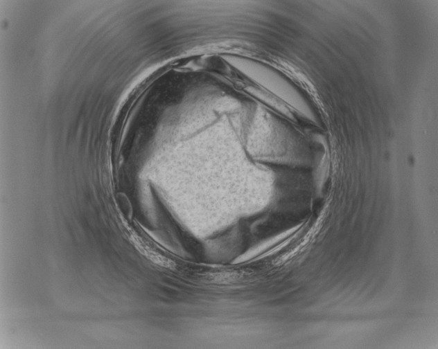 X0000076100792200610152342