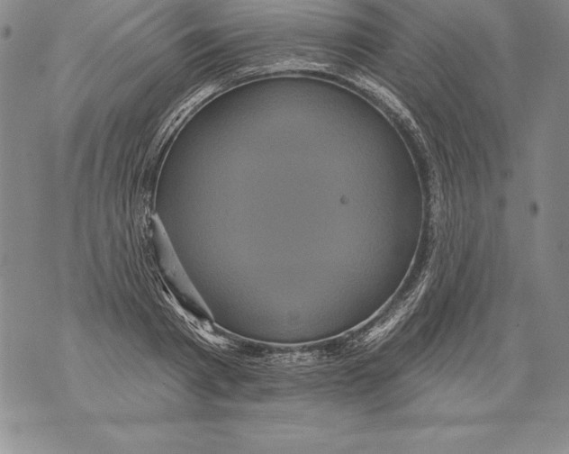 X0000076100793200610152342