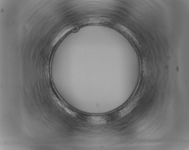 X0000076100794200610152342