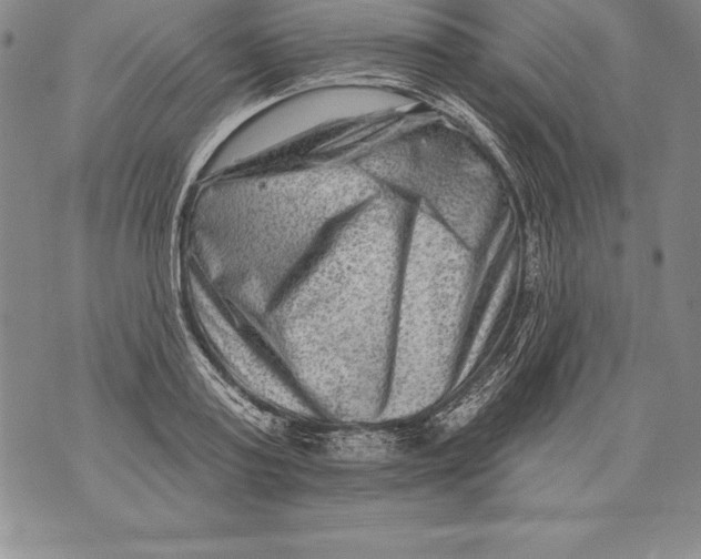 X0000076100795200610152342