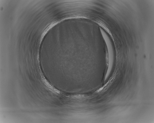 X0000076100797200610152342