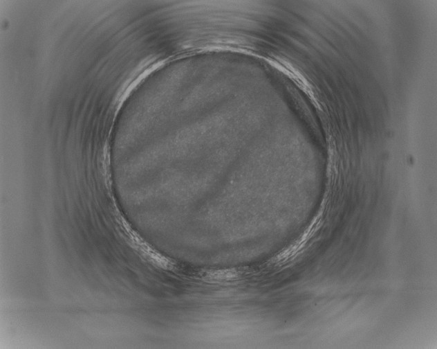 X0000076100798200610152342