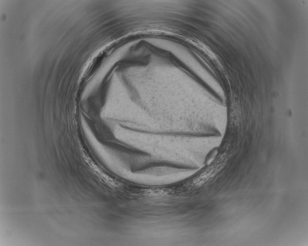 X0000076100799200610152342