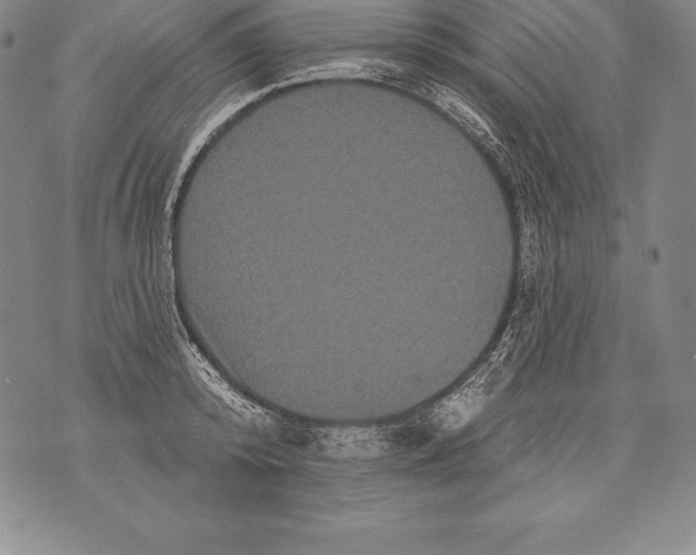 X0000076100800200610152342