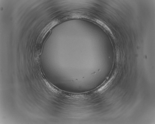 X0000076100801200610152342