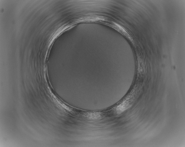 X0000076100802200610152342