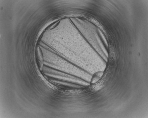 X0000076100803200610152342