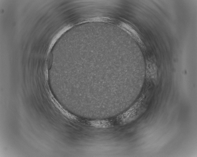 X0000076100804200610152342