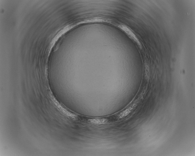 X0000076100805200610152342