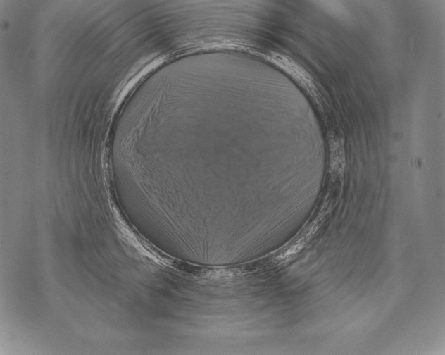 X0000076100806200610152342