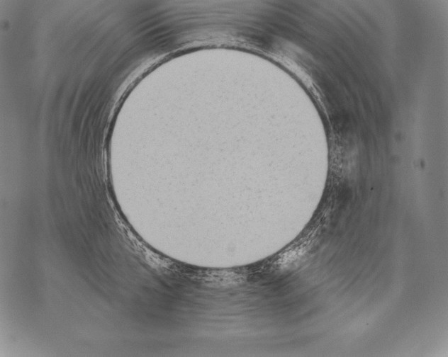 X0000076100807200610152342