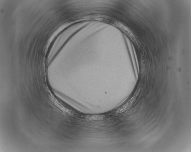 X0000076100808200610152342