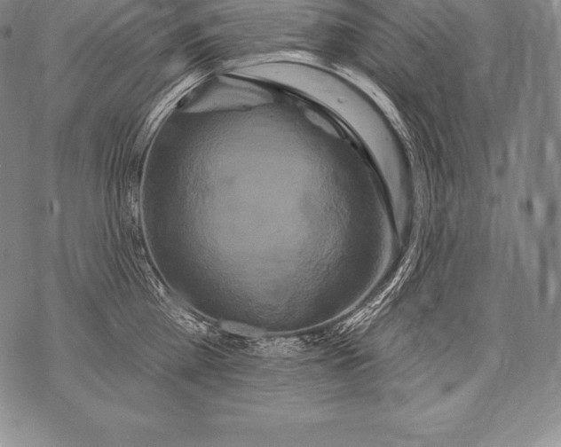 X0000076100809200610152342