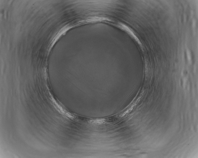 X0000076100810200610152342