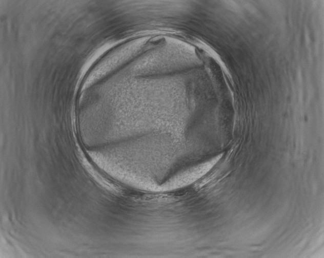 X0000076100811200610152342