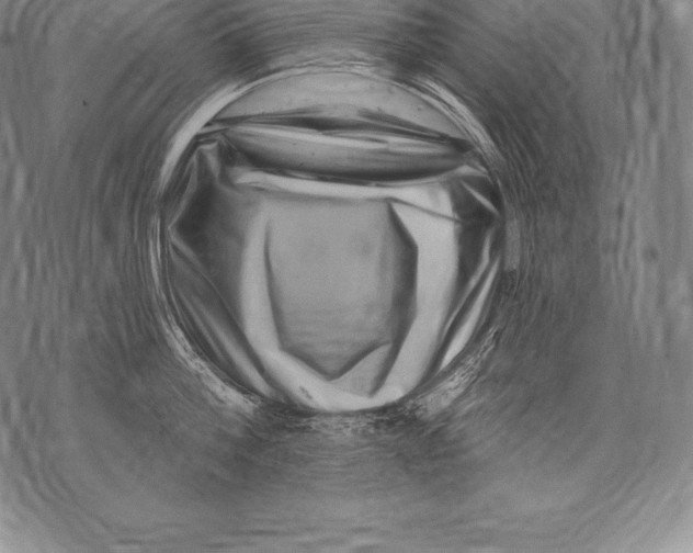 X0000076100812200610152342