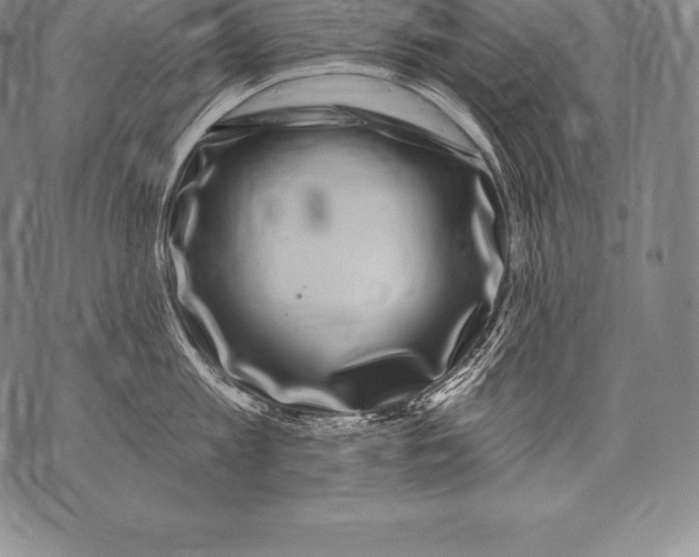 X0000076100813200610152342