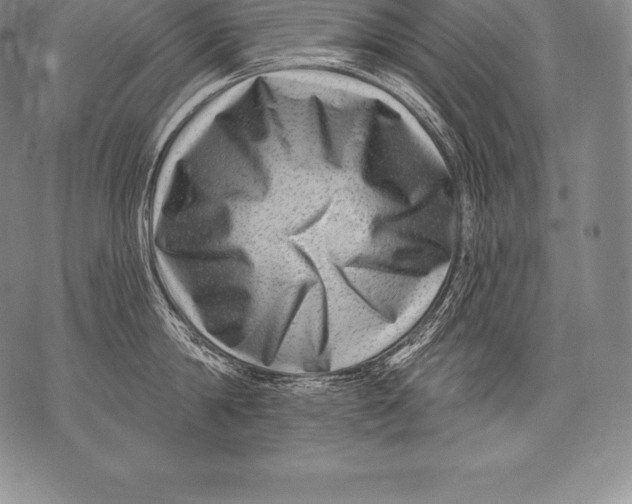 X0000076100814200610152342