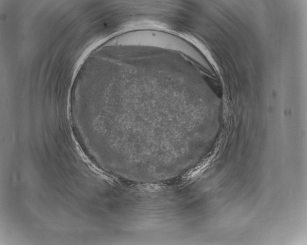 X0000076100815200610152342