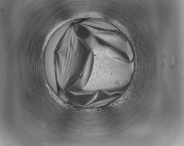 X0000076100816200610152342