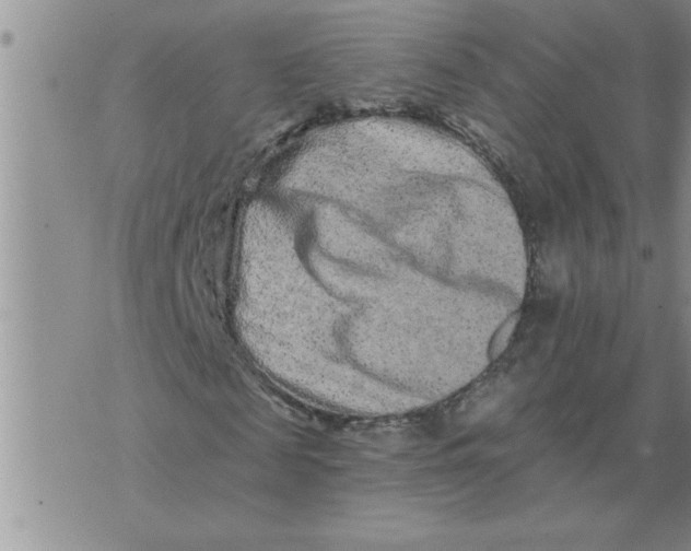 X0000076100817200610152341