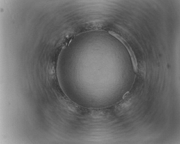 X0000076100818200610152341