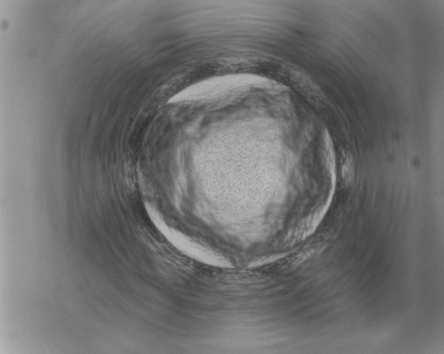 X0000076100819200610152341