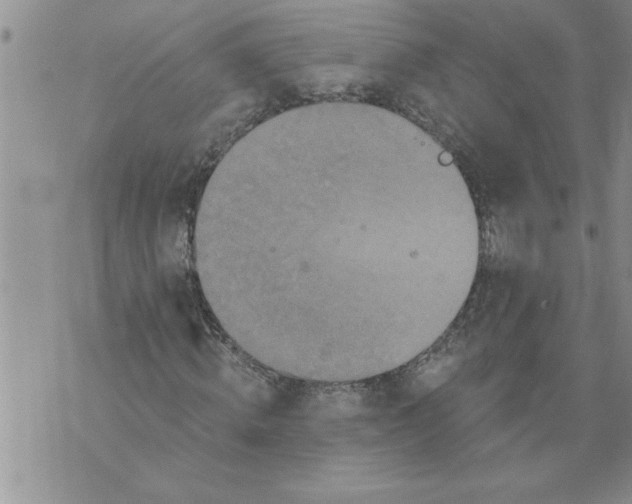 X0000076100820200610152341