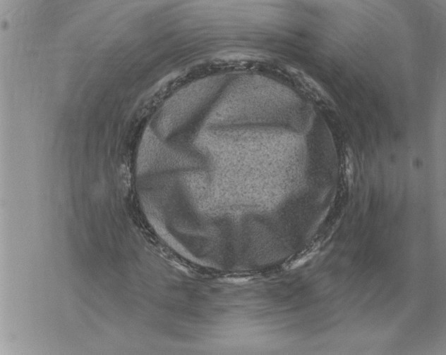 X0000076100821200610152341