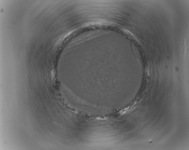 X0000076100822200610152341