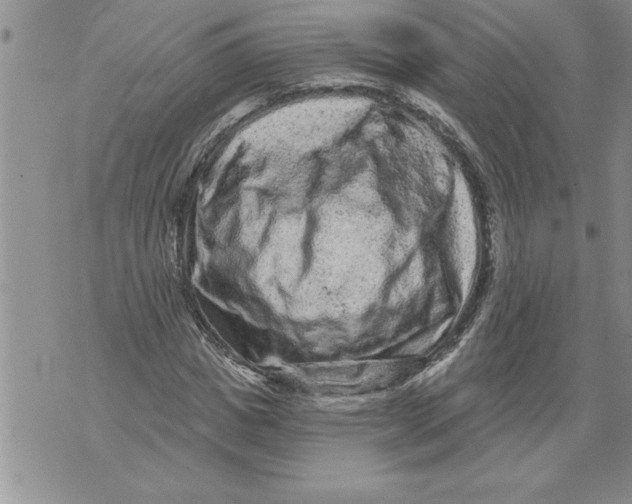 X0000076100825200610152341