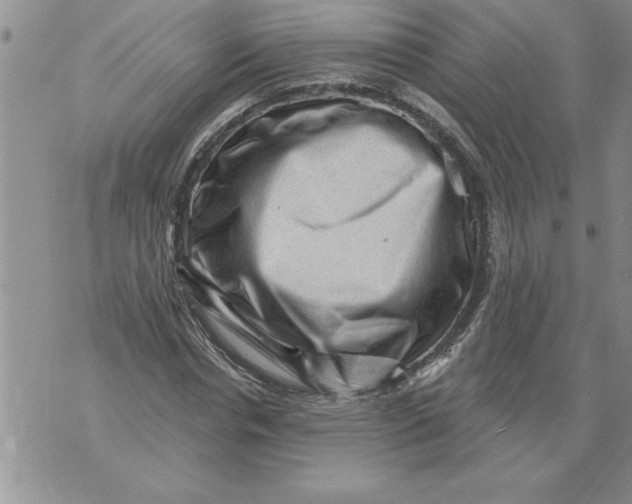 X0000076100826200610152341