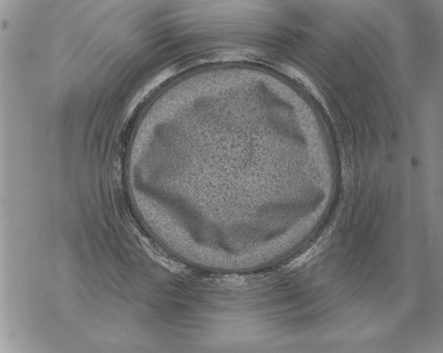 X0000076100827200610152341