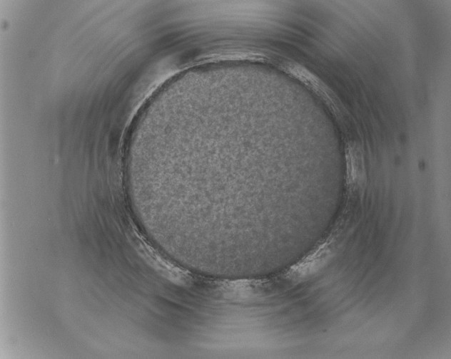 X0000076100828200610152341