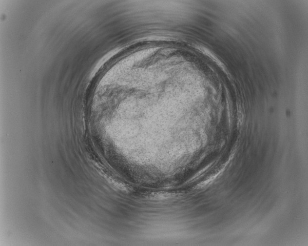 X0000076100829200610152341